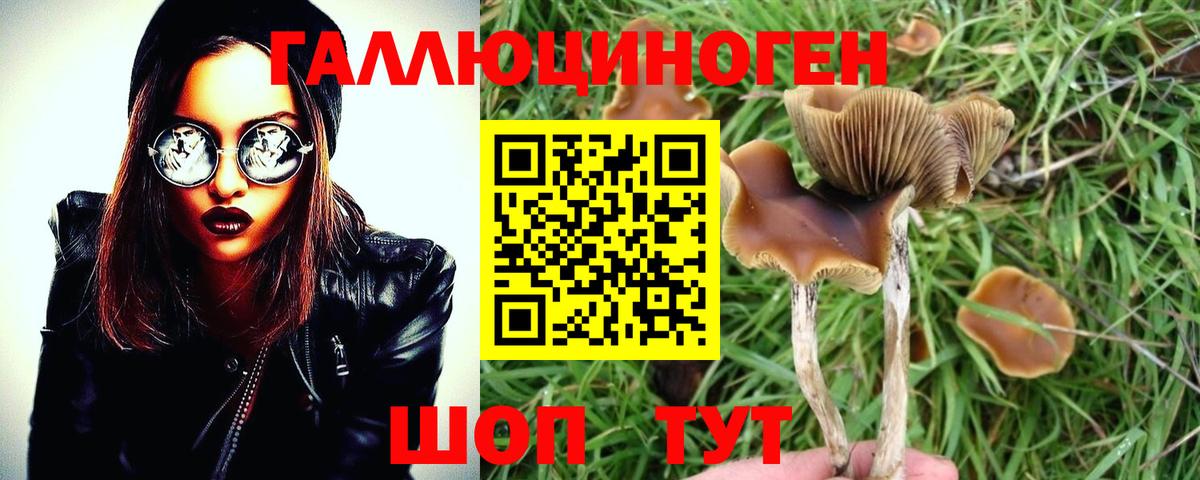 Псилоцибиновые грибы Magic Shrooms  Вход с VPN  Воронеж 