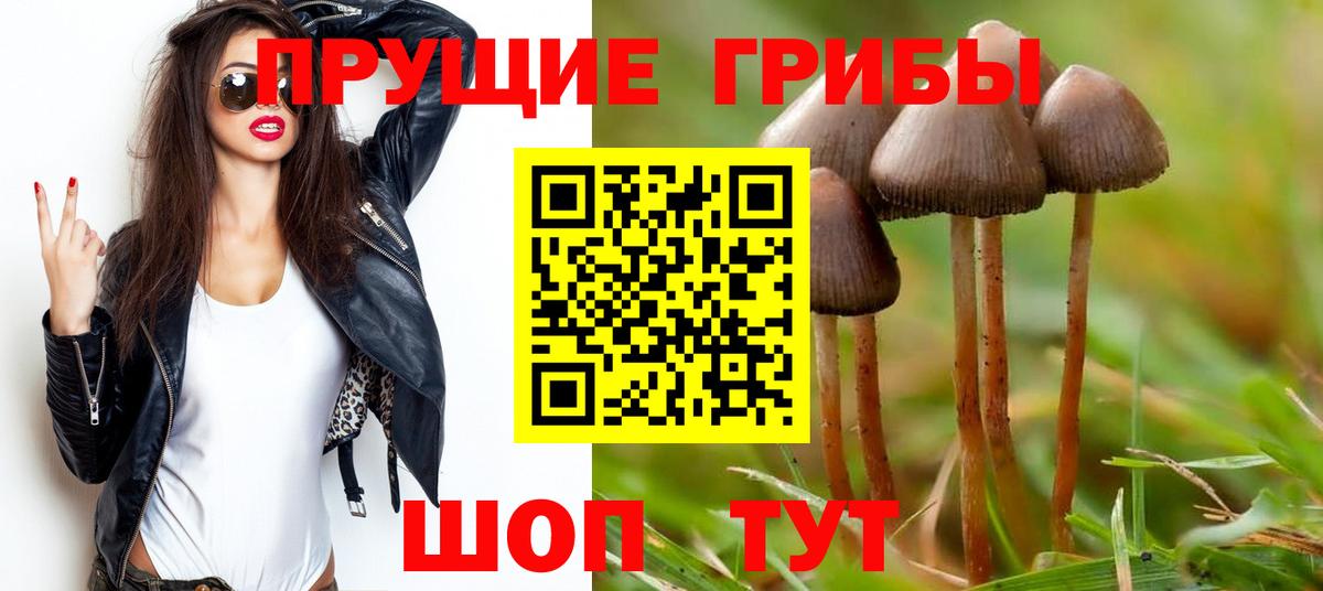 Галлюциногенные грибы MAGIC MUSHROOMS Воронеж